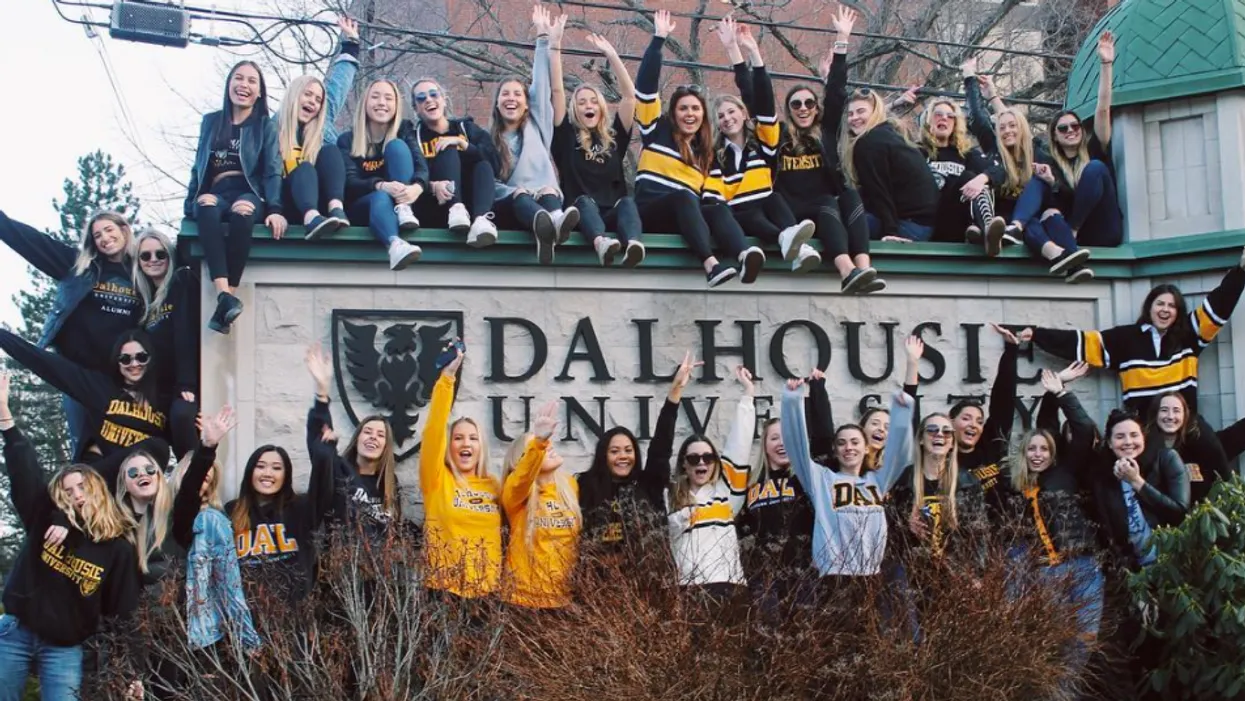 School media preview